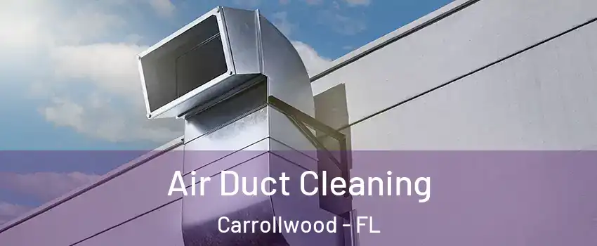  Air Duct Cleaning Carrollwood - FL