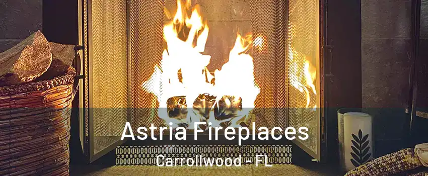  Astria Fireplaces Carrollwood - FL