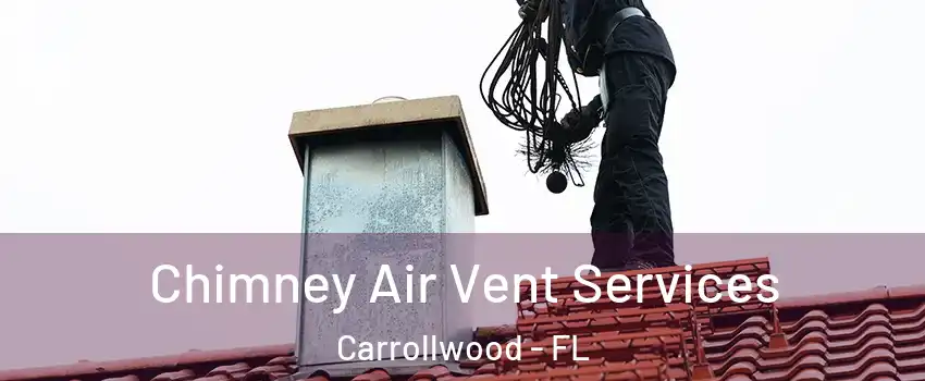  Chimney Air Vent Services Carrollwood - FL