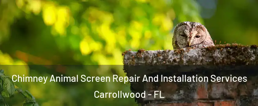  Chimney Animal Screen Repair And Installation Services Carrollwood - FL