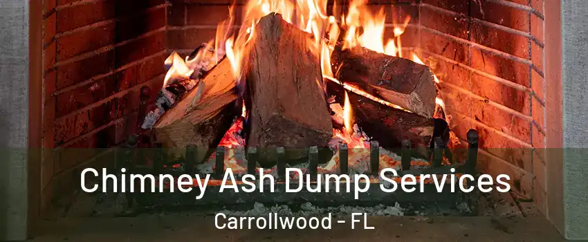  Chimney Ash Dump Services Carrollwood - FL