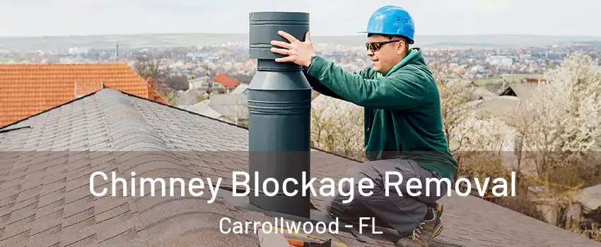  Chimney Blockage Removal Carrollwood - FL