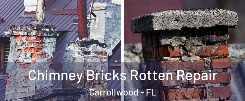 Chimney Bricks Rotten Repair Carrollwood - FL