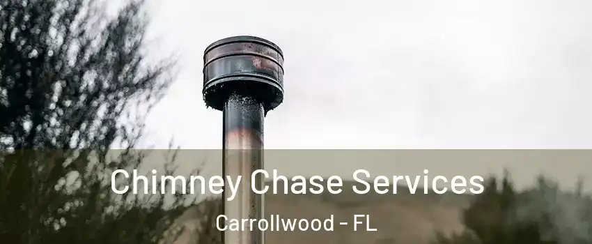  Chimney Chase Services Carrollwood - FL