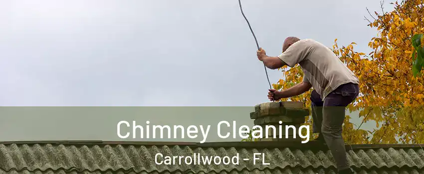  Chimney Cleaning Carrollwood - FL