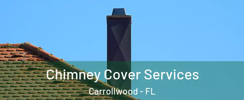  Chimney Cover Services Carrollwood - FL