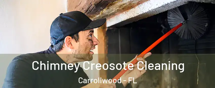  Chimney Creosote Cleaning Carrollwood - FL