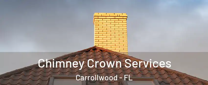  Chimney Crown Services Carrollwood - FL