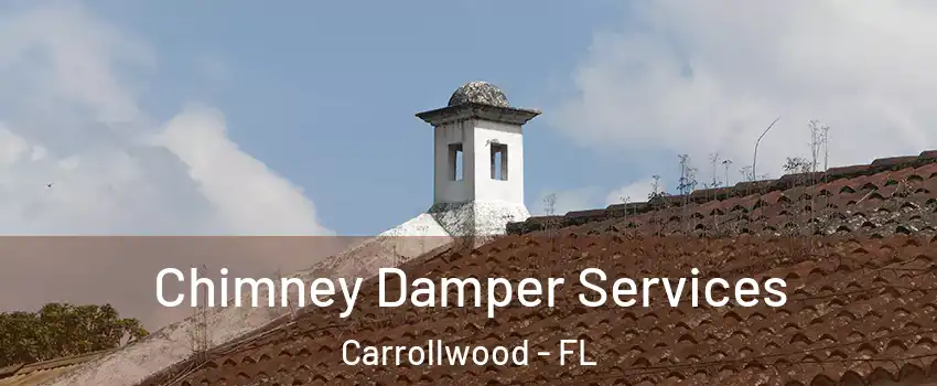  Chimney Damper Services Carrollwood - FL