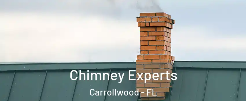  Chimney Experts Carrollwood - FL