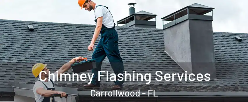 Chimney Flashing Services Carrollwood - FL