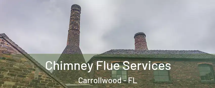  Chimney Flue Services Carrollwood - FL