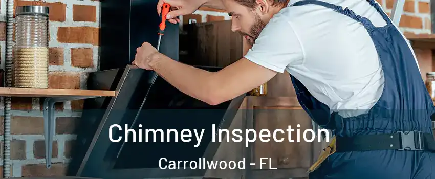  Chimney Inspection Carrollwood - FL