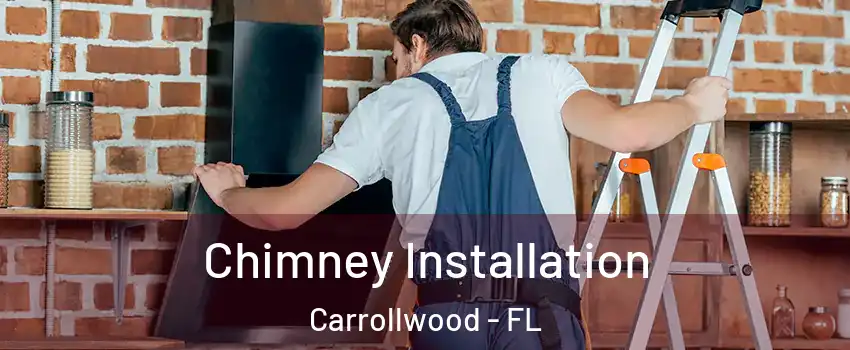 Chimney Installation Carrollwood - FL