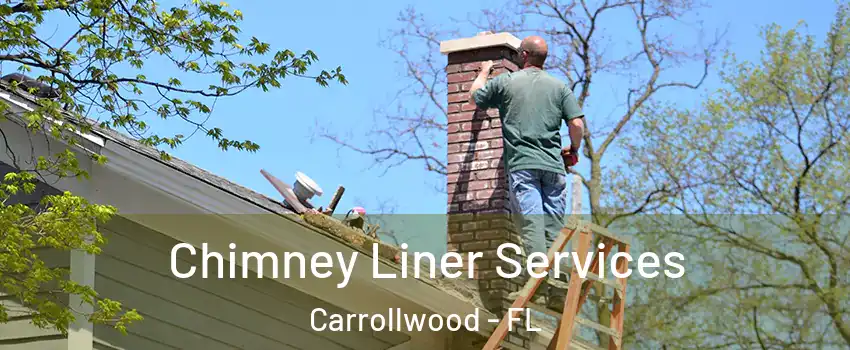  Chimney Liner Services Carrollwood - FL