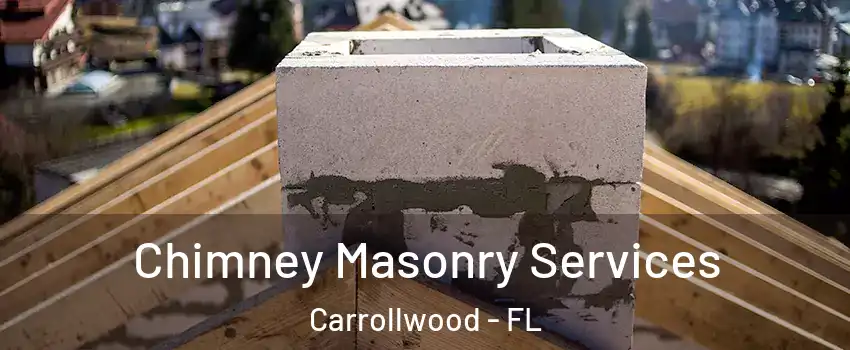  Chimney Masonry Services Carrollwood - FL