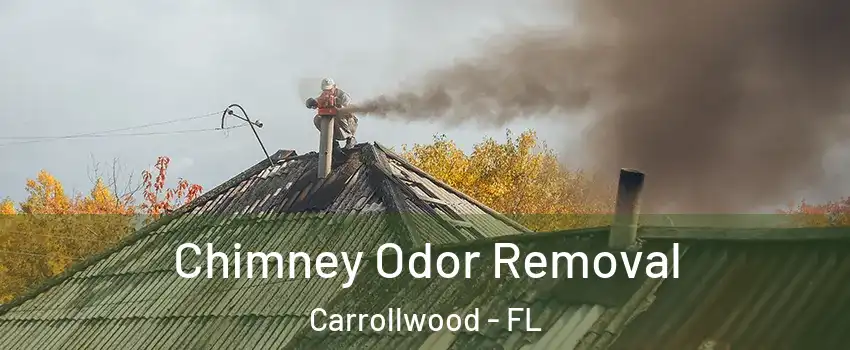 Chimney Odor Removal Carrollwood - FL
