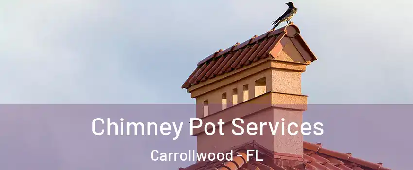  Chimney Pot Services Carrollwood - FL