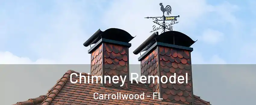  Chimney Remodel Carrollwood - FL