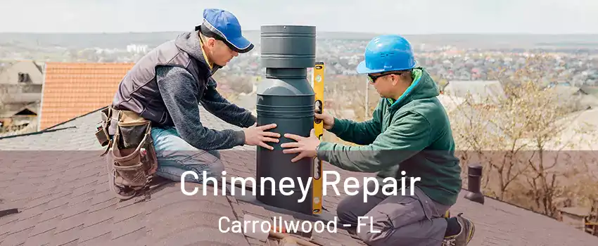  Chimney Repair Carrollwood - FL