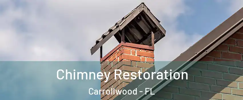  Chimney Restoration Carrollwood - FL