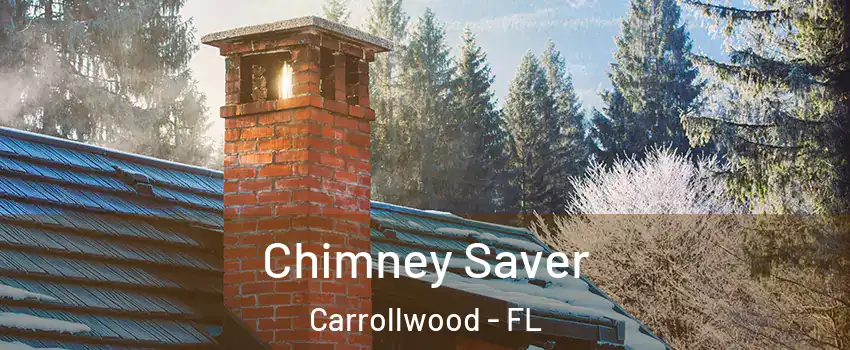  Chimney Saver Carrollwood - FL