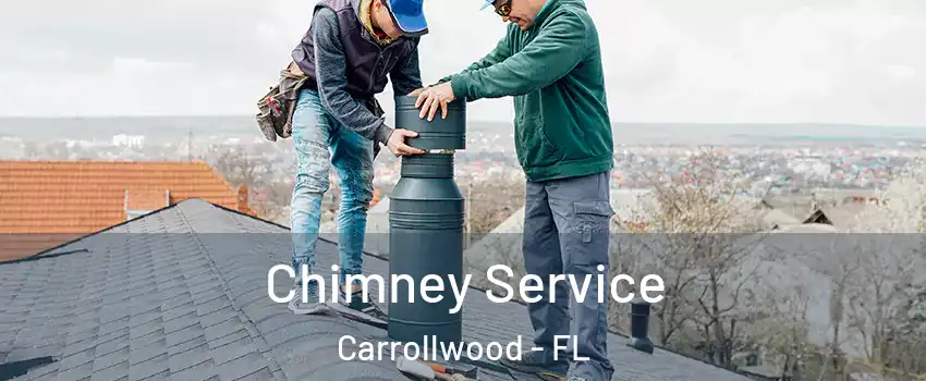  Chimney Service Carrollwood - FL