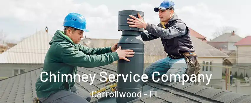  Chimney Service Company Carrollwood - FL