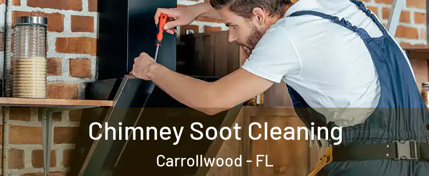  Chimney Soot Cleaning Carrollwood - FL
