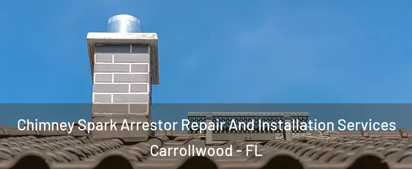  Chimney Spark Arrestor Repair And Installation Services Carrollwood - FL