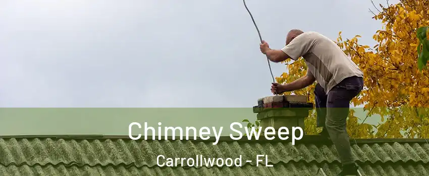  Chimney Sweep Carrollwood - FL
