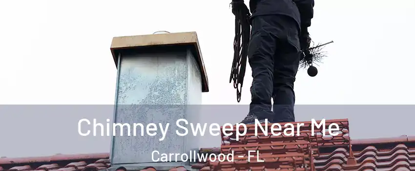  Chimney Sweep Near Me Carrollwood - FL