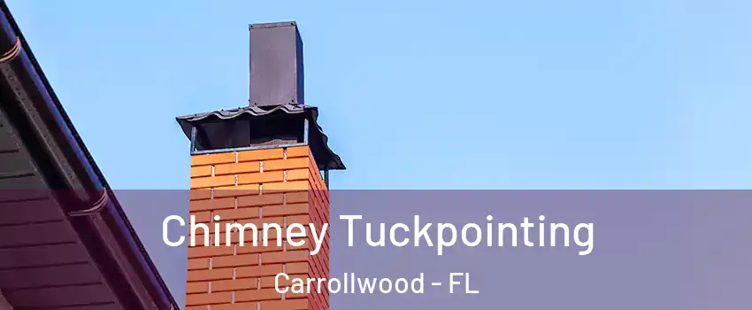 Chimney Tuckpointing Carrollwood - FL