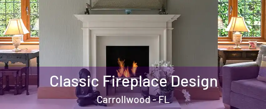  Classic Fireplace Design Carrollwood - FL