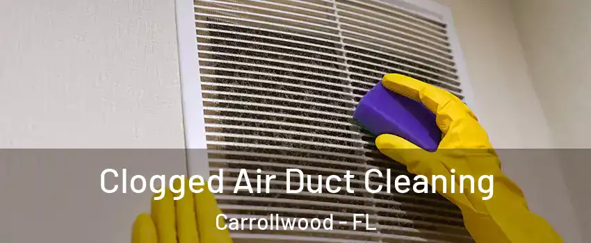  Clogged Air Duct Cleaning Carrollwood - FL