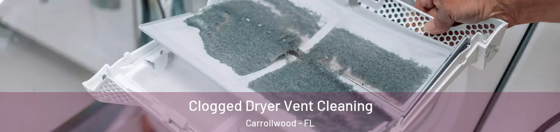  Clogged Dryer Vent Cleaning Carrollwood - FL