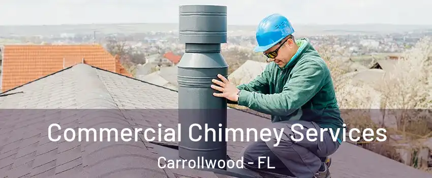  Commercial Chimney Services Carrollwood - FL