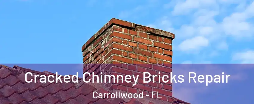  Cracked Chimney Bricks Repair Carrollwood - FL