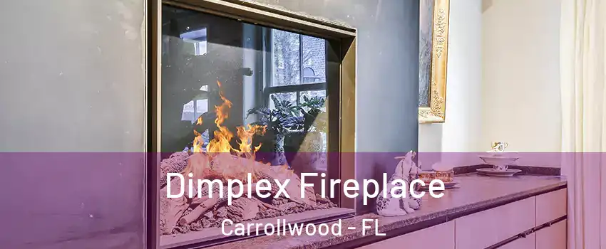  Dimplex Fireplace Carrollwood - FL