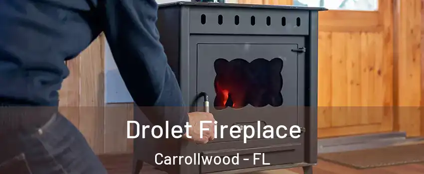  Drolet Fireplace Carrollwood - FL