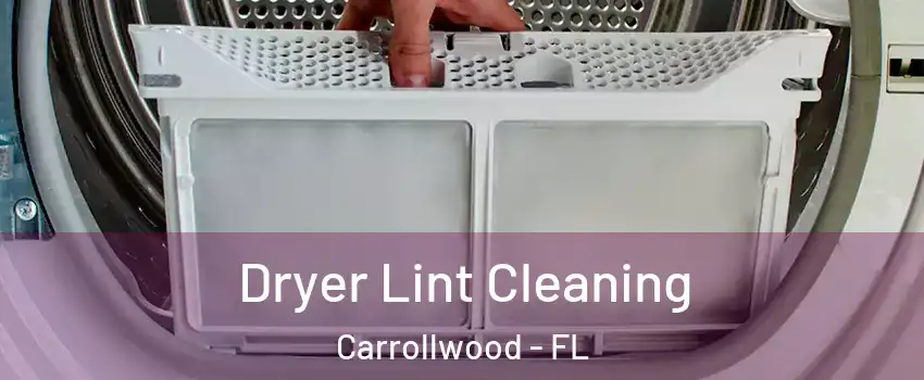  Dryer Lint Cleaning Carrollwood - FL