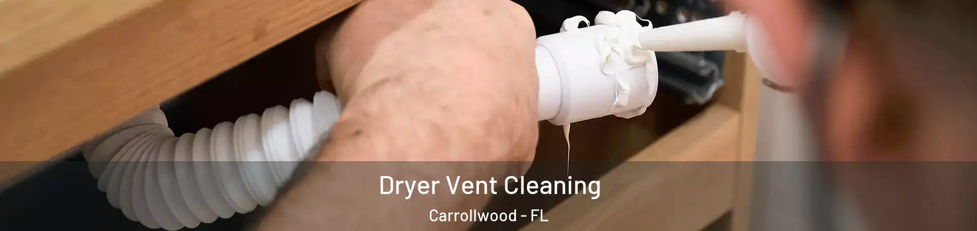  Dryer Vent Cleaning Carrollwood - FL