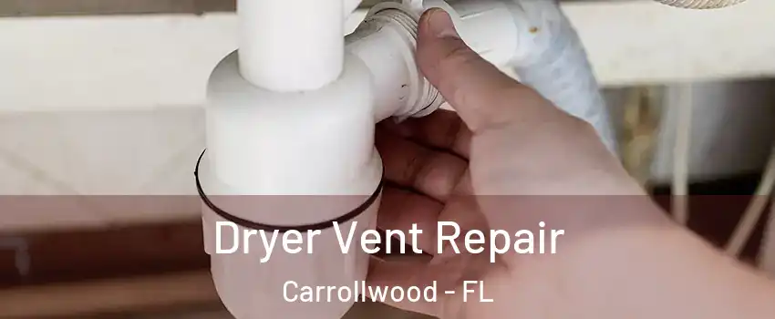  Dryer Vent Repair Carrollwood - FL