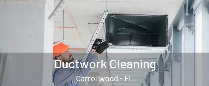  Ductwork Cleaning Carrollwood - FL