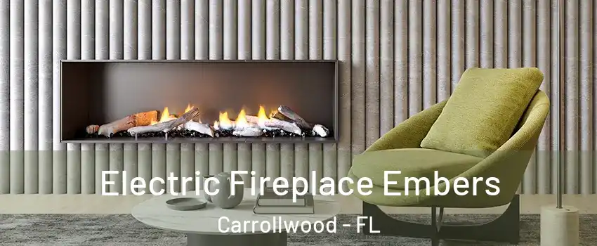  Electric Fireplace Embers Carrollwood - FL