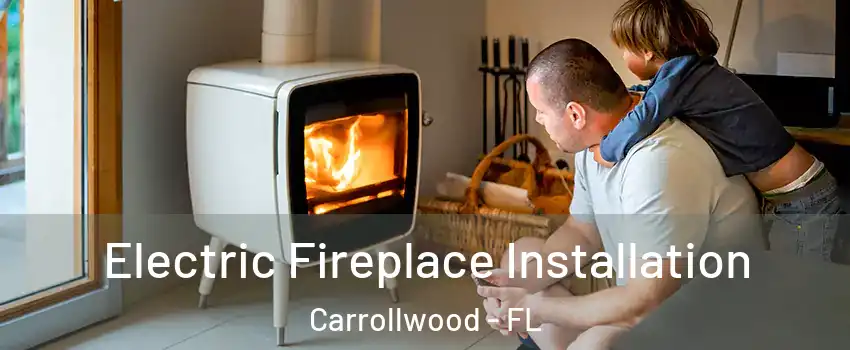  Electric Fireplace Installation Carrollwood - FL
