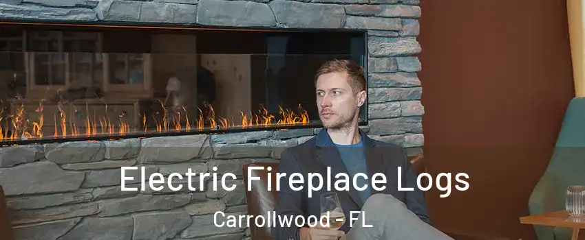  Electric Fireplace Logs Carrollwood - FL