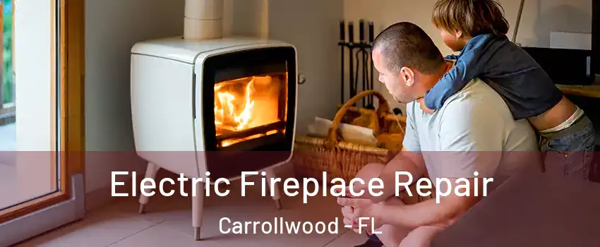  Electric Fireplace Repair Carrollwood - FL
