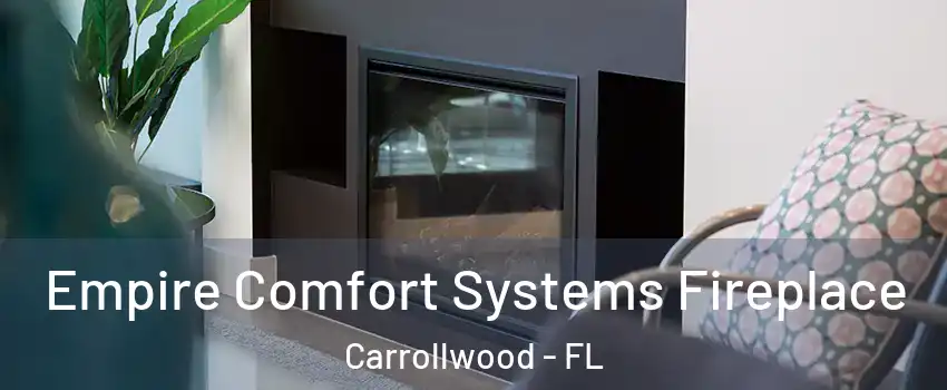 Empire Comfort Systems Fireplace Carrollwood - FL
