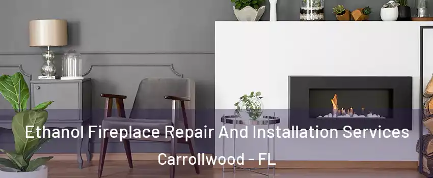  Ethanol Fireplace Repair And Installation Services Carrollwood - FL